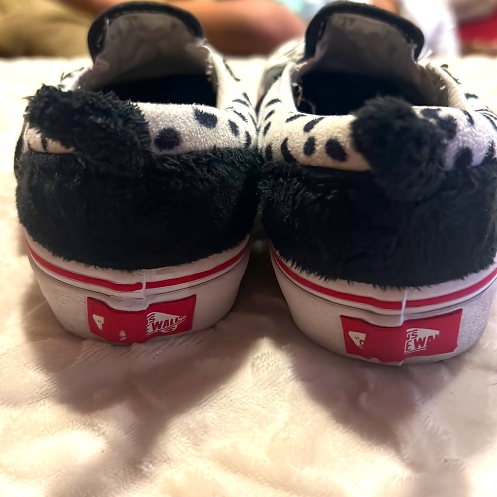 Vans - Picture 3 of 7